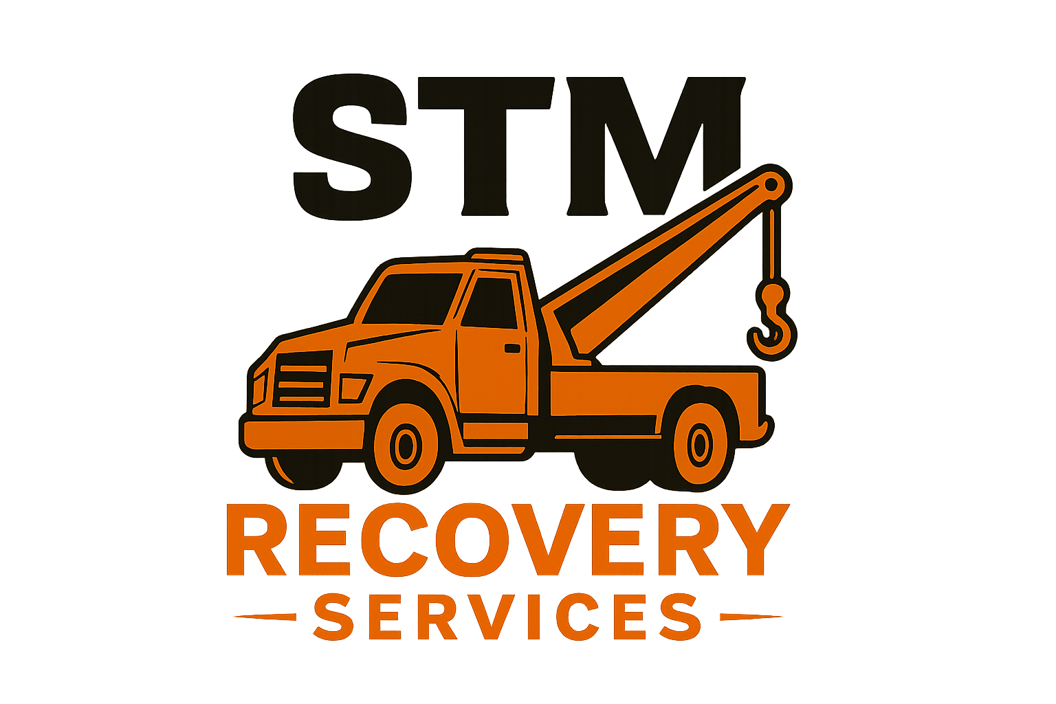 STM Recovery Service 
